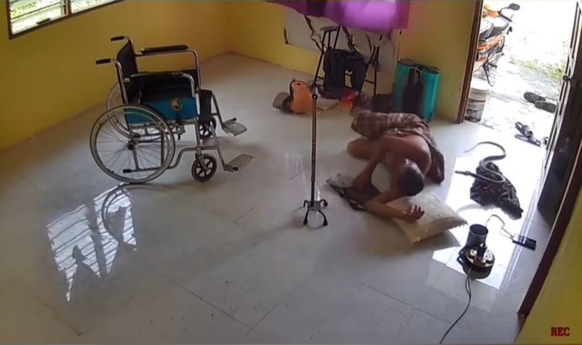 Rắn b&ograve; đến gần người đ&agrave;n &ocirc;ng đang ngủ trưa v&agrave; c&aacute;i kết th&oacute;t tim - Ảnh 1.