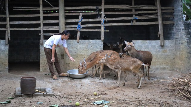 Chương tr&igrave;nh mục ti&ecirc;u quốc gia ở khu vực miền n&uacute;i Thanh H&oacute;a: Cần ưu ti&ecirc;n điện v&agrave; nước sạch- Ảnh 3.