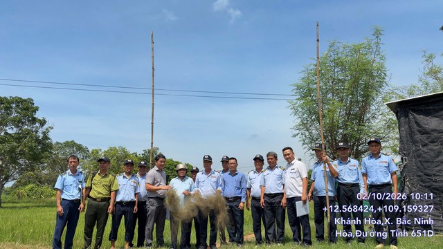Tăng cường kiểm tra, kiên quyết xử lý bẫy bắt chim yến tại Ninh Hoà - Ảnh 1.