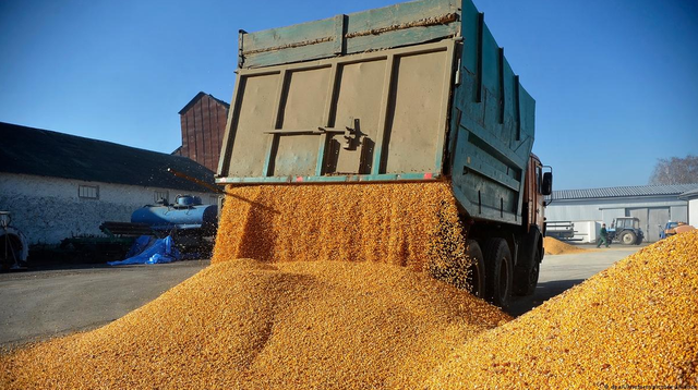 Phản ứng của Ukraine khi mặt hàng chủ lực có nguy cơ bị áp hạn chế vĩnh viễn ở EU - Ảnh 1.
