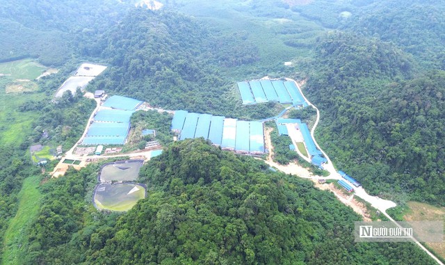 Xã ở Thanh Hóa "gánh" 7 trại lợn: Không khắc phục vi phạm môi trường sẽ phải dừng nuôi- Ảnh 3.