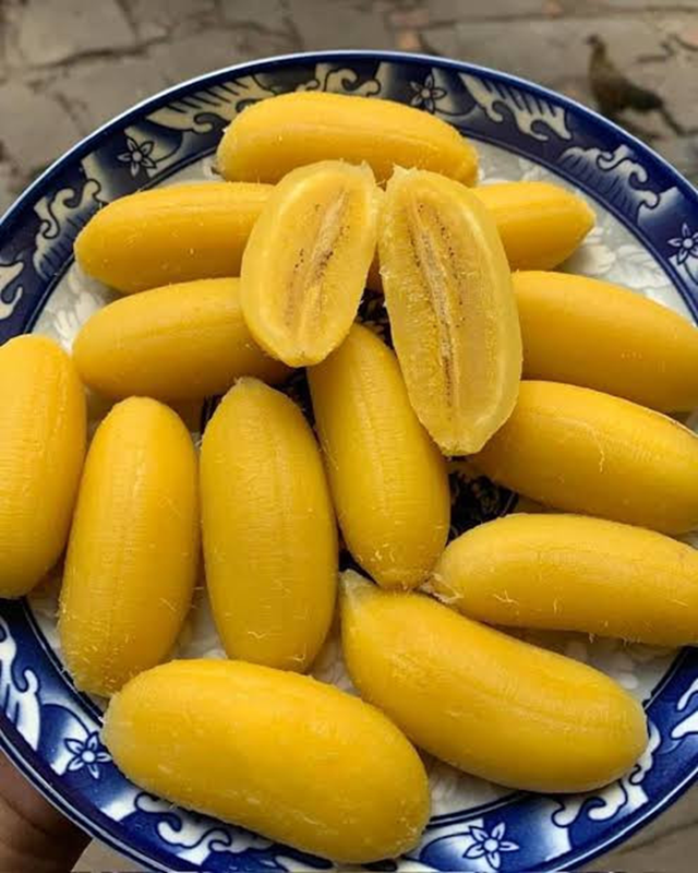 Việt Nam c&oacute; loại chuối "lạ", luộc ch&iacute;n mới ngon - Ảnh 1.