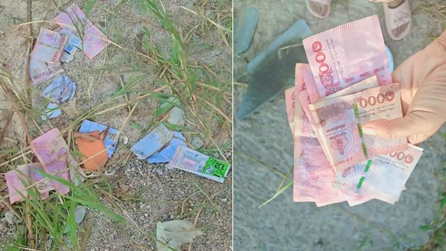Đi cho ch&oacute; ăn, người phụ nữ ph&aacute;t hiện tiền mặt rơi rải r&aacute;c khắp đường - Ảnh 1.