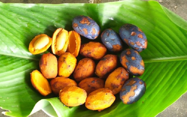 Loại quả xưa không ai thèm nhặt, giờ thành đặc sản tốt như "thuốc quý"- Ảnh 3. Loại quả xưa không ai thèm nhặt, giờ thành đặc sản tốt như "thuốc quý"- Ảnh 3.