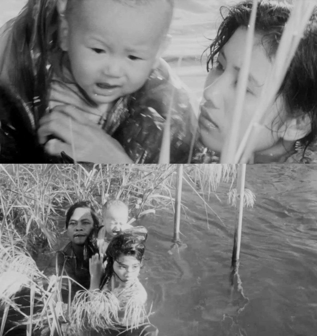 Em b&eacute; trong "C&aacute;nh đồng hoang" từng nu&ocirc;i ước mơ điện ảnh, giờ l&agrave; tỷ ph&uacute; nh&agrave; n&ocirc;ng - Ảnh 2.