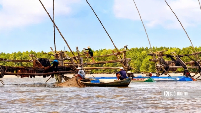 Theo ch&acirc;n ngư d&acirc;n Đất Mũi mưu sinh bằng nghề đ&oacute;ng đ&aacute;y- Ảnh 4.