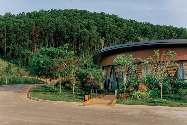 Podcast Lamori đầu năm - Ảnh 2.