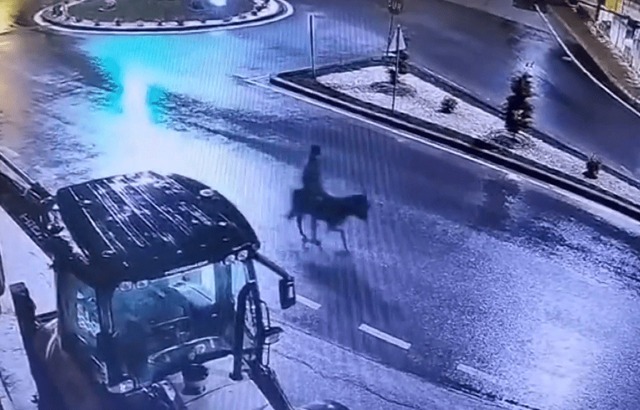 Trộm vàng, nam thanh niên cưỡi lừa tẩu thoát khỏi hiện trường- Ảnh 1. Trộm vàng, nam thanh niên cưỡi lừa tẩu thoát khỏi hiện trường- Ảnh 1.