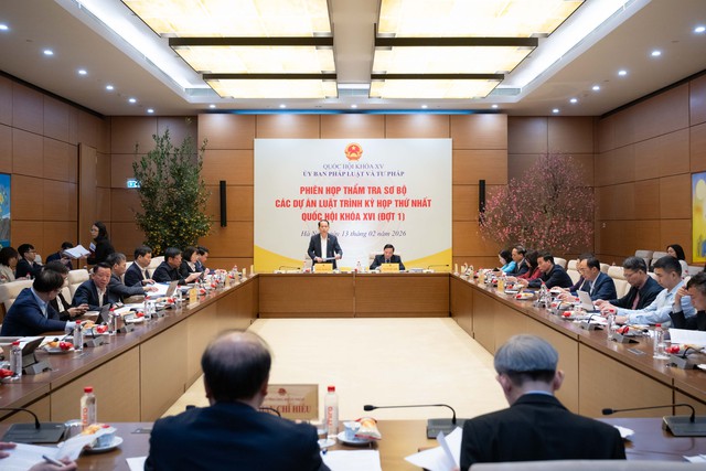 Phi&ecirc;n họp thẩm tra sơ bộ c&aacute;c dự &aacute;n luật tr&igrave;nh Kỳ họp thứ Nhất, Quốc hội kh&oacute;a XVI- Ảnh 1.
