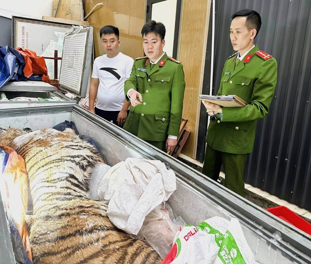 Khởi tố, bắt tạm giam đối tương x&acirc;y hầm b&iacute; mật dưới l&ograve;ng đất để nấu cao hổ - Ảnh 2.