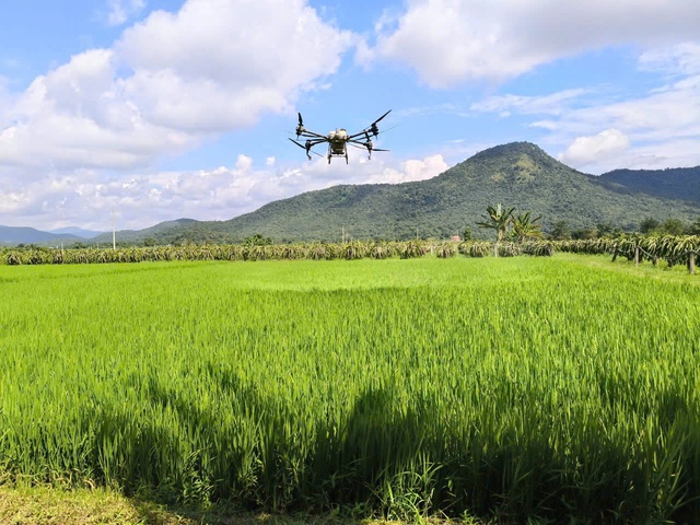 Tương lai mới tr&ecirc;n những &ldquo;c&aacute;nh đồng kh&ocirc;ng dấu ch&acirc;n&rdquo; của L&acirc;m Đồng- Ảnh 1.
