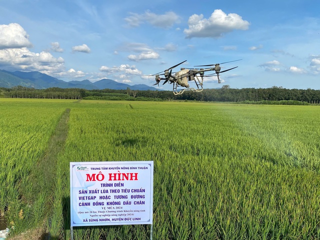 Tương lai mới tr&ecirc;n những &ldquo;c&aacute;nh đồng kh&ocirc;ng dấu ch&acirc;n&rdquo; của L&acirc;m Đồng- Ảnh 4.