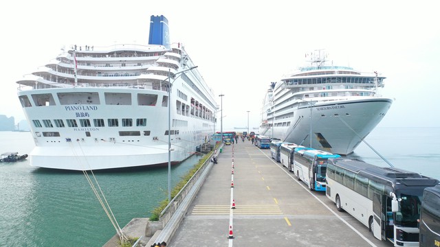 Loạt du thuyền cập bến Quảng Ninh dịp Tết B&iacute;nh Ngọ 2026- Ảnh 1.