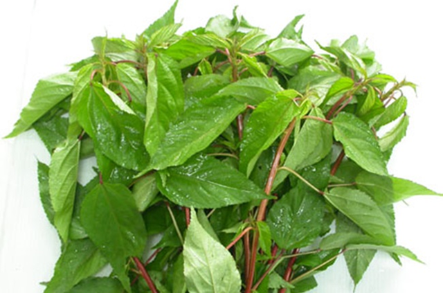 Loại rau hiếm khi “ngậm” thuốc trừ sâu, trời Tây mê tít: Ra chợ Việt là thấy đầy- Ảnh 1. Loại rau hiếm khi “ngậm” thuốc trừ sâu, trời Tây mê tít: Ra chợ Việt là thấy đầy- Ảnh 1.