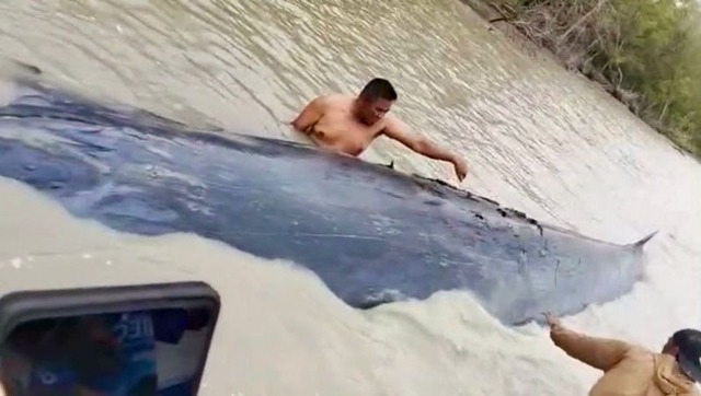 Đi đ&aacute;nh c&aacute;, ngư d&acirc;n bắt gặp cảnh tượng bất ngờ tr&ecirc;n biển - Ảnh 1.