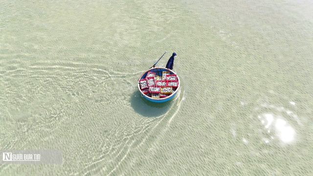 Rộn r&agrave;ng m&ugrave;a c&aacute; nục ở Quảng Ng&atilde;i - Ảnh 4.