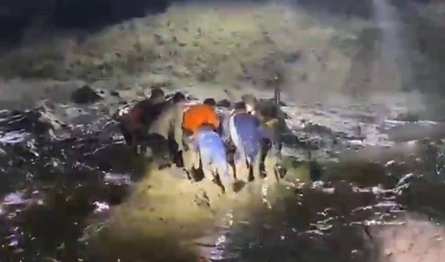 Đi tắm c&ugrave;ng con trai, người đ&agrave;n &ocirc;ng bị thứ đ&aacute;ng sợ cắn tử vong - Ảnh 1.