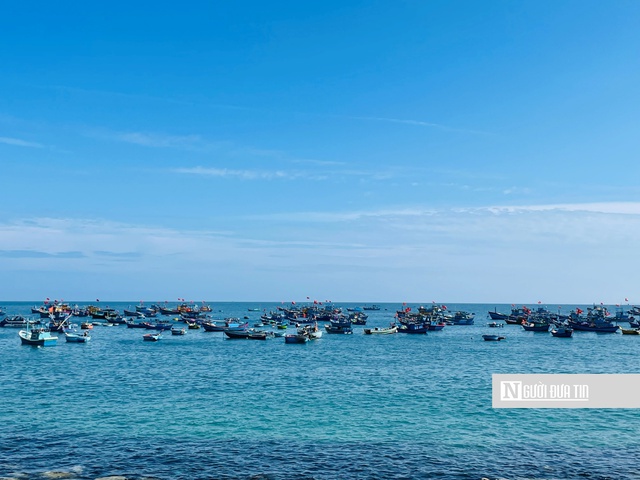 Rộn r&agrave;ng lễ hội cầu ngư 200 năm tuổi ở Nhơn L&yacute; - Ảnh 14.