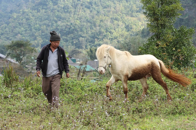 C&uacute;ng hồn ngựa &ndash; c&acirc;u chuyện về l&ograve;ng biết ơn trong văn h&oacute;a người M&ocirc;ng - Ảnh 2.