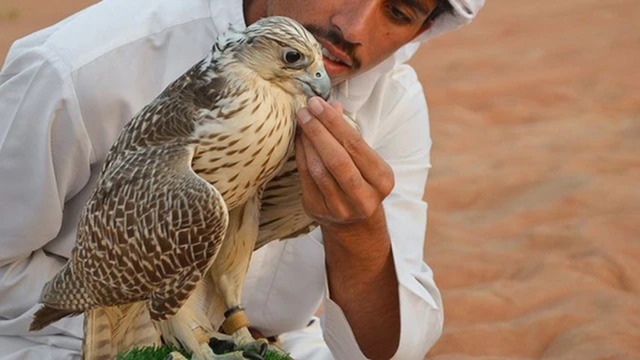 Loài chim đắt đỏ bậc nhất thế giới giá nửa tỷ/con, đi máy bay như “quý tộc”- Ảnh 2. Loài chim đắt đỏ bậc nhất thế giới giá nửa tỷ/con, đi máy bay như “quý tộc”- Ảnh 2.