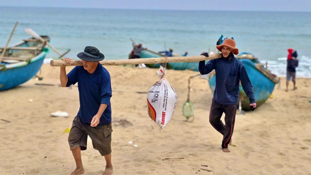 Ra khơi khai thác ốc gạo từ 2 giờ sáng, ngư dân "đút túi" tiền triệu mỗi chuyến- Ảnh 3. Ra khơi khai thác ốc gạo từ 2 giờ sáng, ngư dân "đút túi" tiền triệu mỗi chuyến- Ảnh 3.