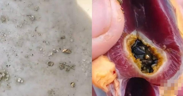 Mổ vịt ăn Tết, người đ&agrave;n &ocirc;ng sốc nặng khi thấy v&agrave;ng b&ecirc;n trong - Ảnh 1.