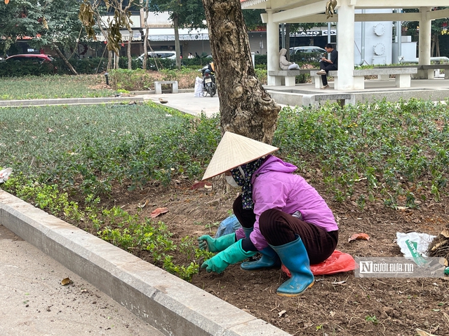 Sau phản &aacute;nh xuống cấp, c&ocirc;ng vi&ecirc;n hồ điều h&ograve;a Mai Dịch kho&aacute;c diện mạo mới- Ảnh 2.