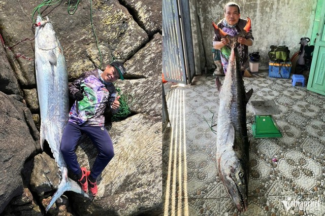 Cần thủ Đ&agrave; Nẵng c&acirc;u được c&aacute; "khủng", bằng c&acirc;n nặng người lớn - Ảnh 2.