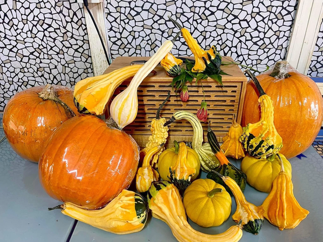 Loại quả &iacute;t &ldquo;ngậm&rdquo; thuốc trừ s&acirc;u nhất chợ, nhiều người kh&ocirc;ng biết m&agrave; mua - Ảnh 1.