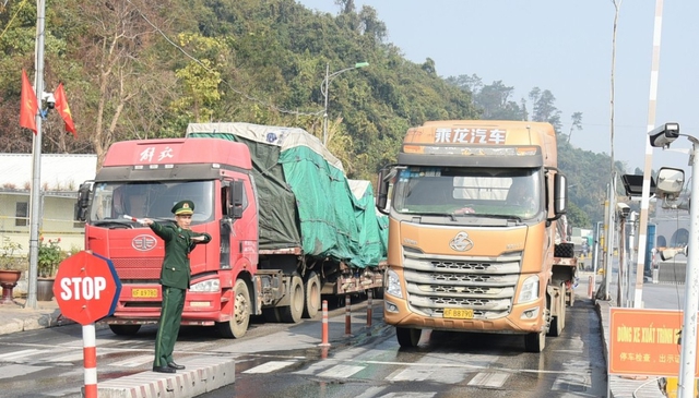 Tạm dừng th&ocirc;ng quan h&agrave;ng h&oacute;a qua cửa khẩu Lạng Sơn từ 15/2- Ảnh 1.