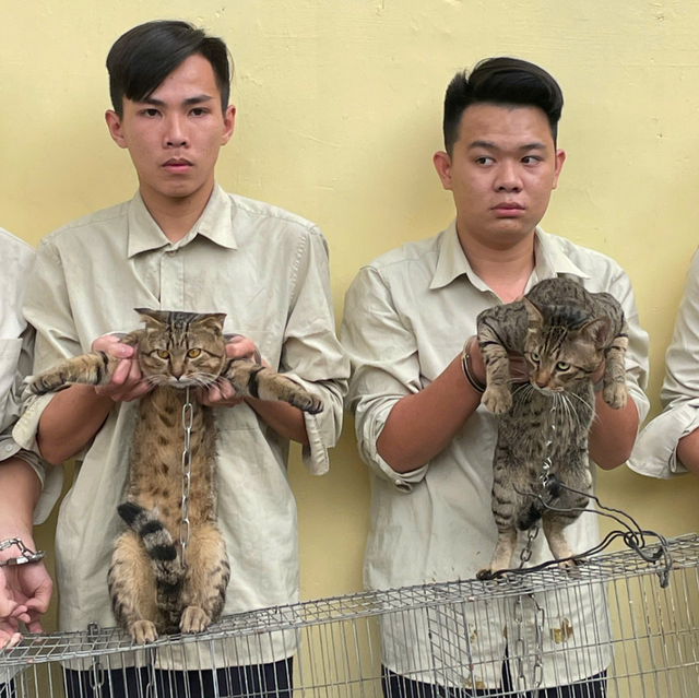 Lật tẩy h&agrave;nh vi bất ch&iacute;nh trong đ&ecirc;m muộn của nh&oacute;m thanh ni&ecirc;n trẻ tuổi- Ảnh 2.