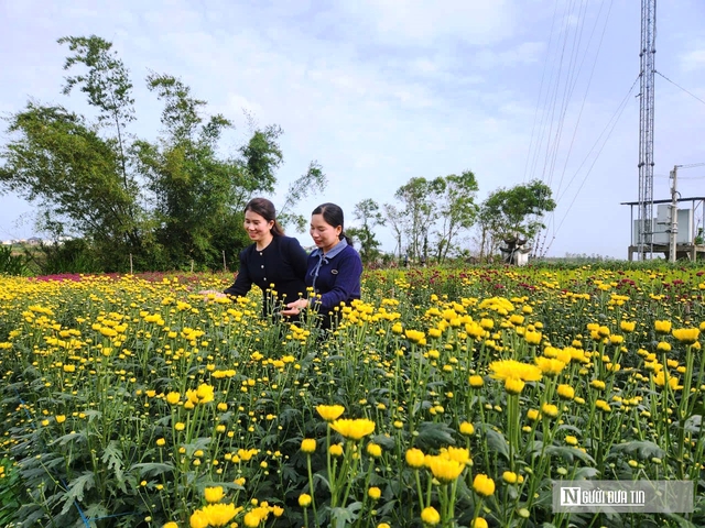 Vườn đ&agrave;o nở bung, hoa ngắn ng&agrave;y &ldquo;g&aacute;nh&rdquo; Tết cho thủ phủ hoa L&yacute; Trạch - Ảnh 9.