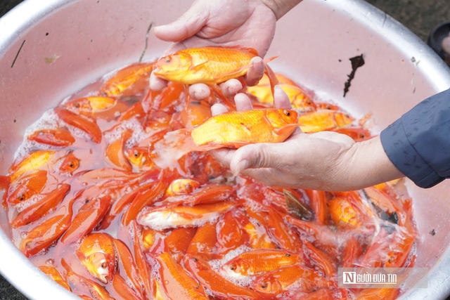 L&agrave;ng c&aacute; ch&eacute;p đỏ tất bật trước ng&agrave;y &Ocirc;ng C&ocirc;ng &Ocirc;ng T&aacute;o về trời - Ảnh 3.