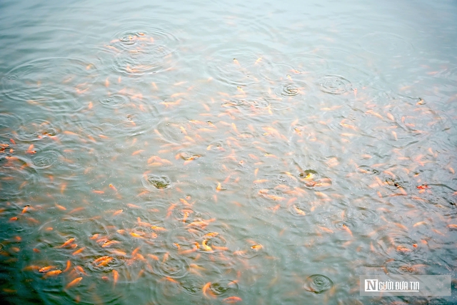 L&agrave;ng c&aacute; ch&eacute;p đỏ tất bật trước ng&agrave;y &Ocirc;ng C&ocirc;ng &Ocirc;ng T&aacute;o về trời - Ảnh 9.