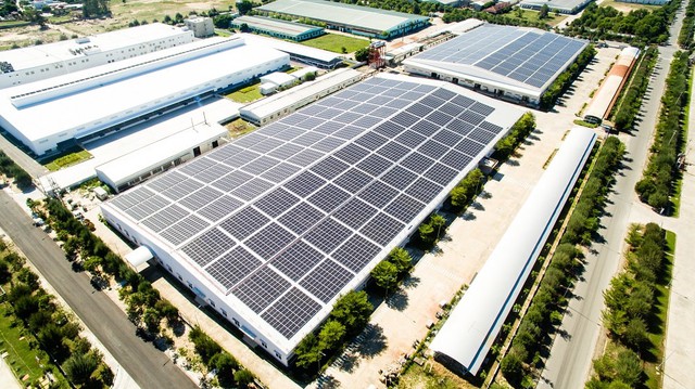 Điều g&igrave; đang &ldquo;n&iacute;u ch&acirc;n&rdquo; Bamboo Capital v&agrave; Tracodi khi li&ecirc;n tiếp ho&atilde;n BCTC kiểm to&aacute;n? - Ảnh 1.