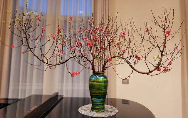 Đừng đốt gốc đ&agrave;o nữa th&ecirc;m thứ n&agrave;y hoa nở rộ rất nhanh, bền đẹp ng&agrave;y Tết - Ảnh 1.