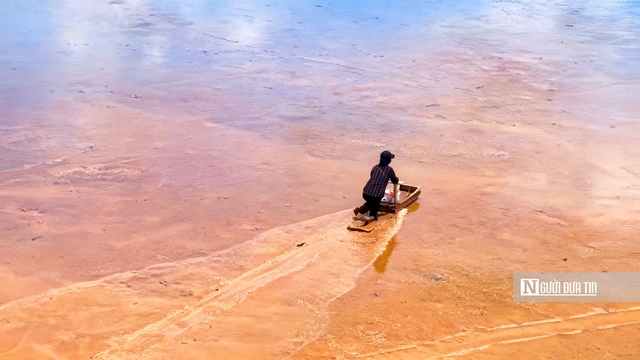 Độc đ&aacute;o nghề &ldquo;chạy mong&rdquo; tr&ecirc;n b&atilde;i bồi ven biển Mỏ &Oacute;- Ảnh 4.