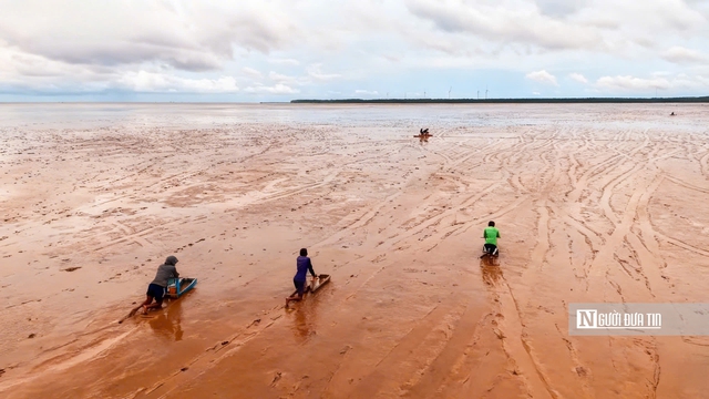 Độc đ&aacute;o nghề &ldquo;chạy mong&rdquo; tr&ecirc;n b&atilde;i bồi ven biển Mỏ &Oacute;- Ảnh 5.
