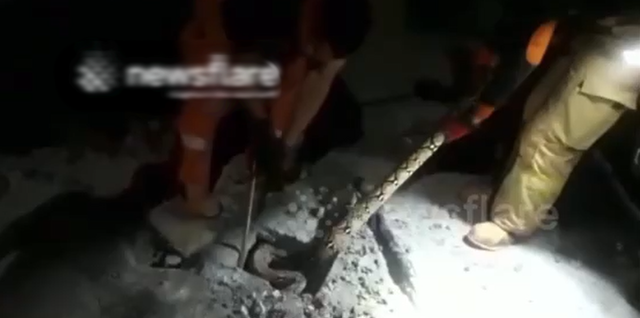 Nền nh&agrave; bỗng "động đậy", người d&acirc;n ph&aacute;t hiện cảnh tượng "nổi da g&agrave;" giữa đ&ecirc;m - Ảnh 1.