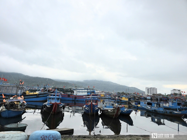 Dầu tăng gi&aacute;, ngư d&acirc;n neo bờ chưa d&aacute;m vươn khơi v&igrave; lo thua lỗ- Ảnh 4.