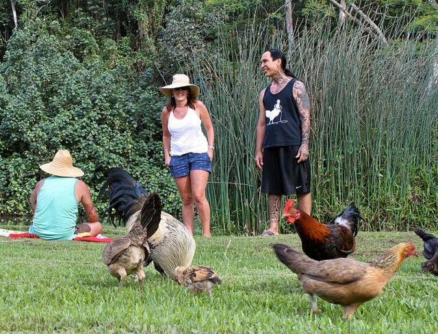 Kỳ lạ v&ugrave;ng đất nơi h&agrave;ng ngh&igrave;n con g&agrave; chạy r&ocirc;ng nhưng kh&ocirc;ng ai bắt về ăn - Ảnh 2.