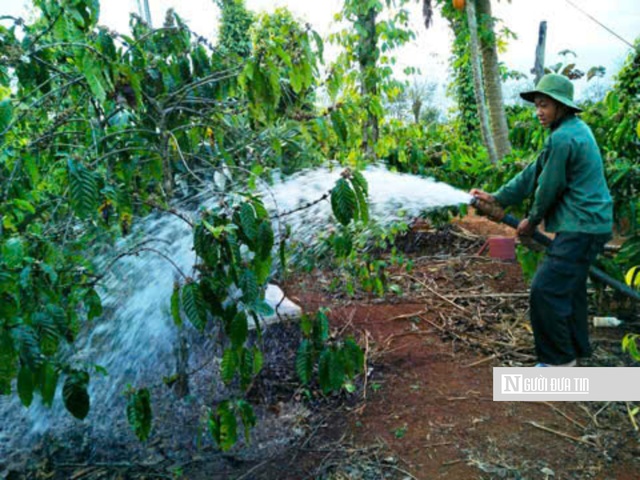 Miền Trung: Người d&acirc;n chật vật với gi&aacute; xăng dầu tăng cao, cơ quan chức năng tăng cường kiểm so&aacute;t- Ảnh 1.