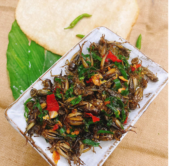 Con đặc sản &ldquo;xấu x&iacute;&rdquo; xưa kh&ocirc;ng ai ng&oacute;, nay th&agrave;nh đặc sản T&acirc;y Bắc lạ miệng, d&acirc;n nhậu m&ecirc; t&iacute;t săn l&ugrave;ng - Ảnh 12.