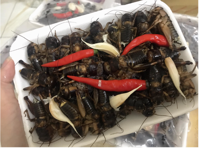 Con đặc sản &ldquo;xấu x&iacute;&rdquo; xưa kh&ocirc;ng ai ng&oacute;, nay th&agrave;nh đặc sản T&acirc;y Bắc lạ miệng, d&acirc;n nhậu m&ecirc; t&iacute;t săn l&ugrave;ng - Ảnh 1.