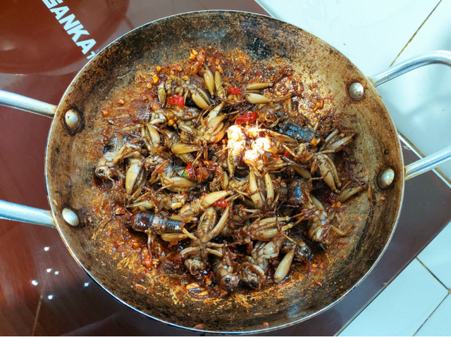 Con đặc sản &ldquo;xấu x&iacute;&rdquo; xưa kh&ocirc;ng ai ng&oacute;, nay th&agrave;nh đặc sản T&acirc;y Bắc lạ miệng, d&acirc;n nhậu m&ecirc; t&iacute;t săn l&ugrave;ng - Ảnh 7.