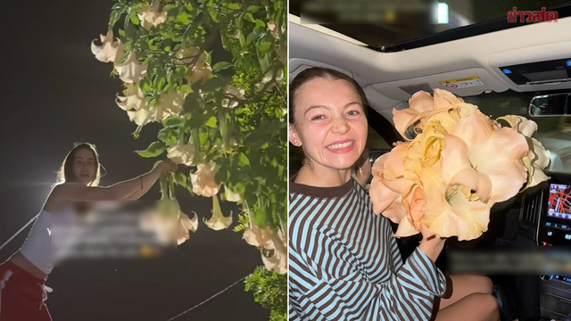 Cô dâu hồn nhiên hái hoa "cực độc" khách mời và cái kết - Ảnh 2.