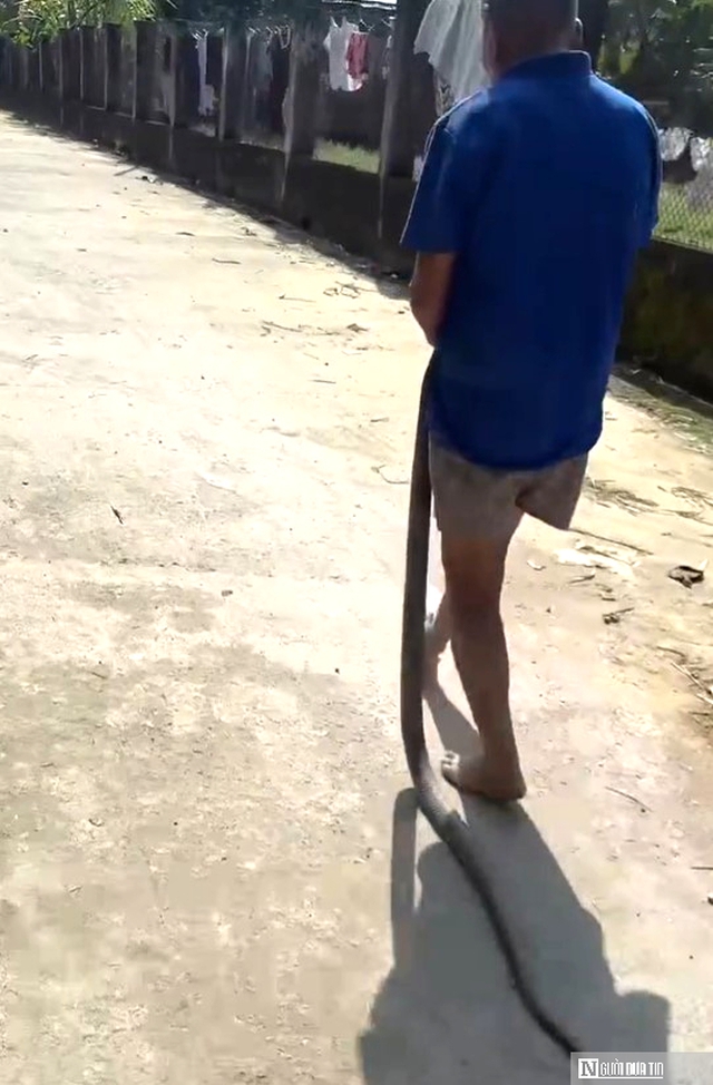 Bất ngờ vụ cụ &ocirc;ng bị hổ mang cắn vẫn cố giữ chặt con rắn: Gia đ&igrave;nh nhận hơn 300 triệu, xin ngừng k&ecirc;u gọi- Ảnh 4.