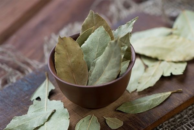 Loại l&aacute; d&acirc;n d&atilde; của Việt Nam xưa rụng đầy gốc, nay trời T&acirc;y b&aacute;n gi&aacute; 2 triệu đồng/kg - Ảnh 3.