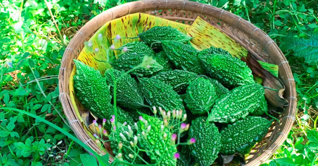 Loại quả xưa rụng đầy gốc nay v&iacute; như "vua dưỡng gan" cực tốt cho sức khỏe - Ảnh 1.