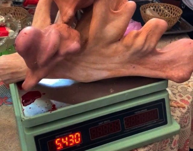 Ch&igrave;a kh&oacute;a tho&aacute;t ngh&egrave;o từ nghề nu&ocirc;i con nhiều đốm, &ldquo;b&aacute;n lộc&rdquo; kiếm tiền tỷ ở H&agrave; Tĩnh - Ảnh 2.